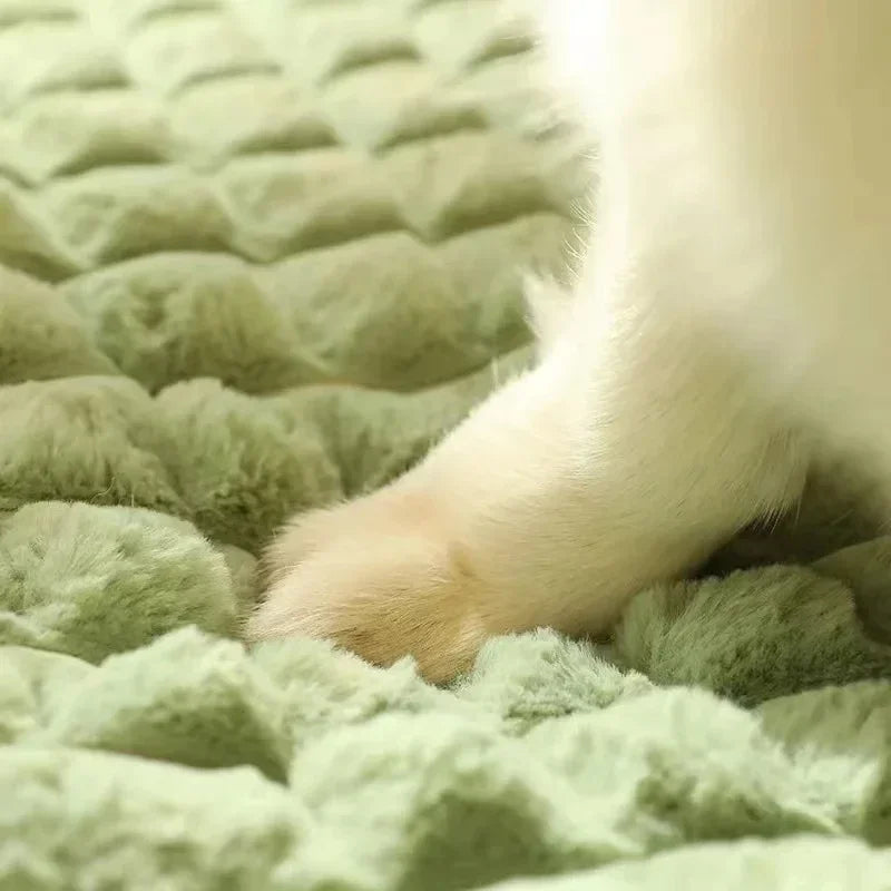 Orthopädisches Memory Foam Haustierbett mit waschbarem Bezug