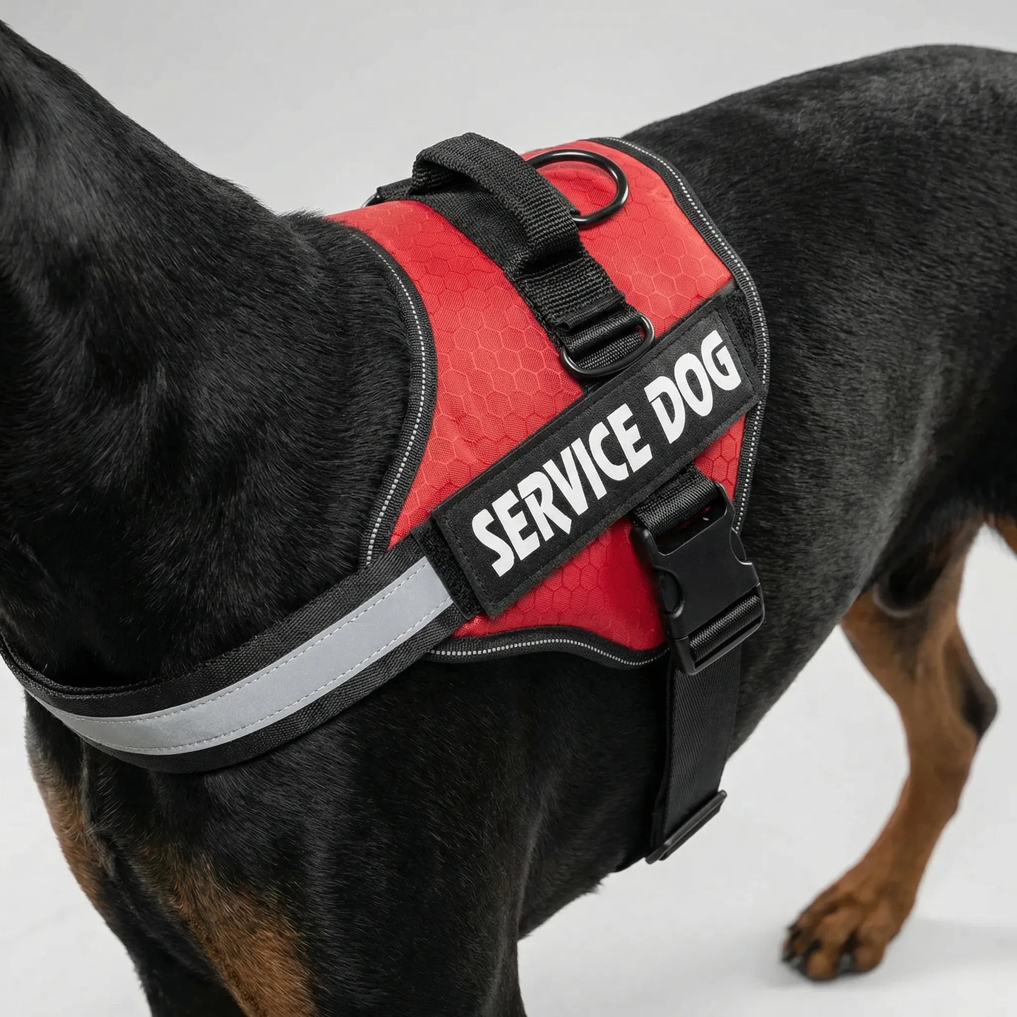 Hundegeschirr Brustgeschirr reflektierend verstellbar für große Hunde
