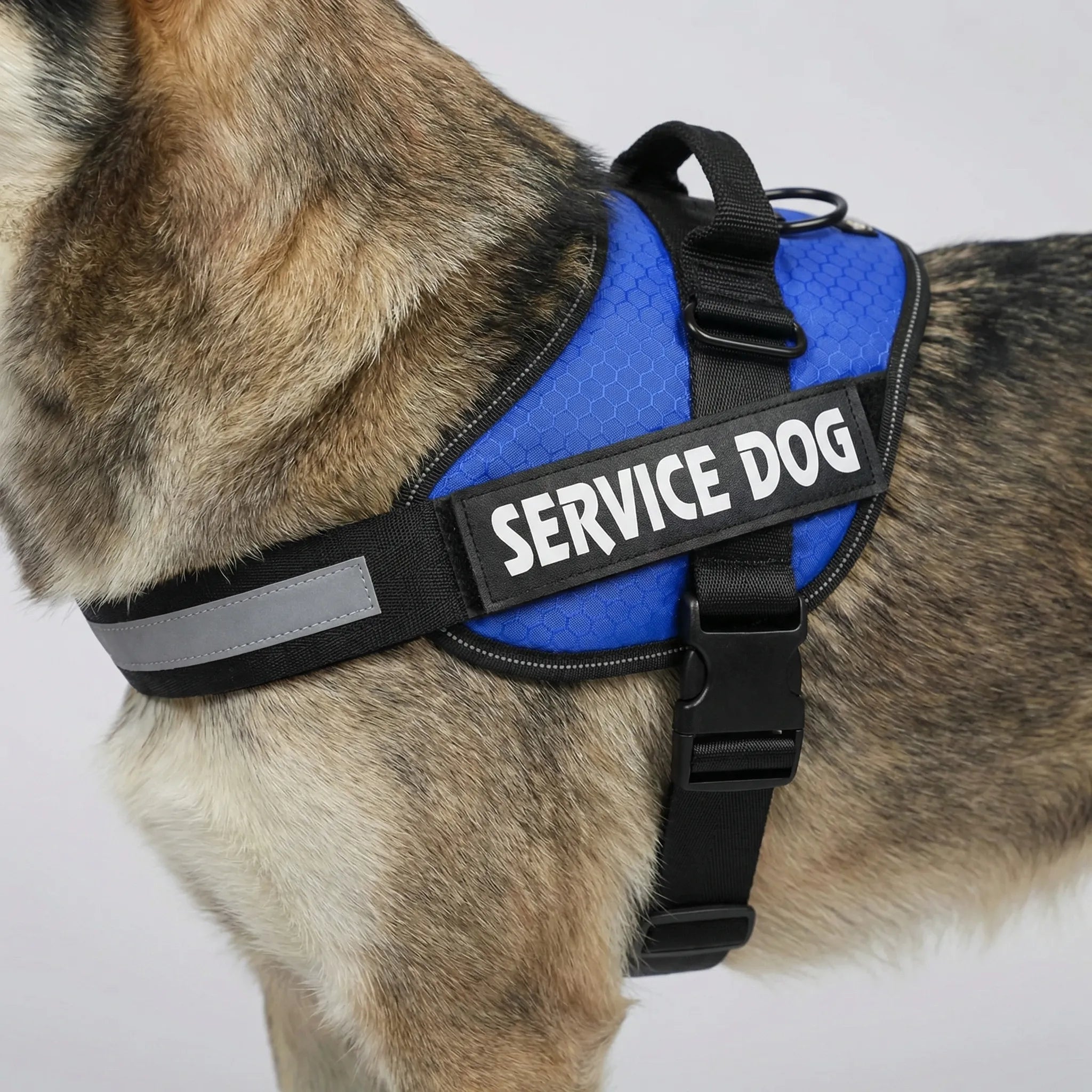 Hundegeschirr Brustgeschirr reflektierend verstellbar für große Hunde