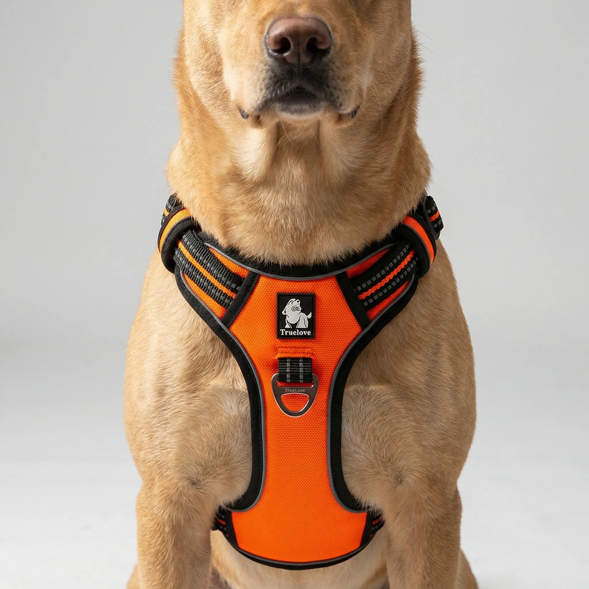 Reflektierendes Hundegeschirr mit zugfreiem Design und verstellbarer Passform