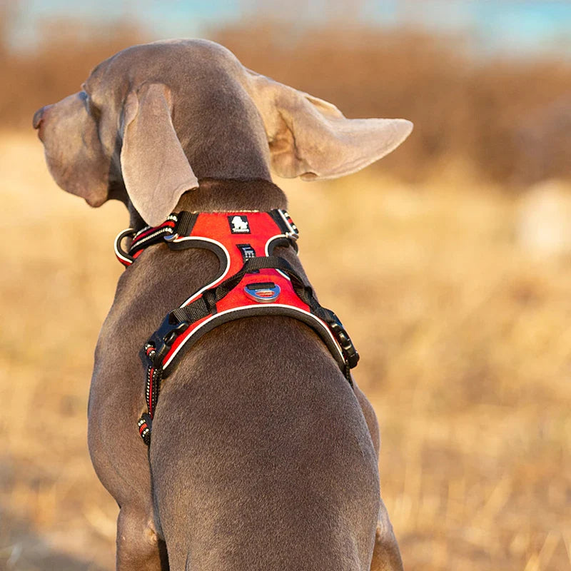 Reflektierendes Hundegeschirr mit zugfreiem Design und verstellbarer Passform