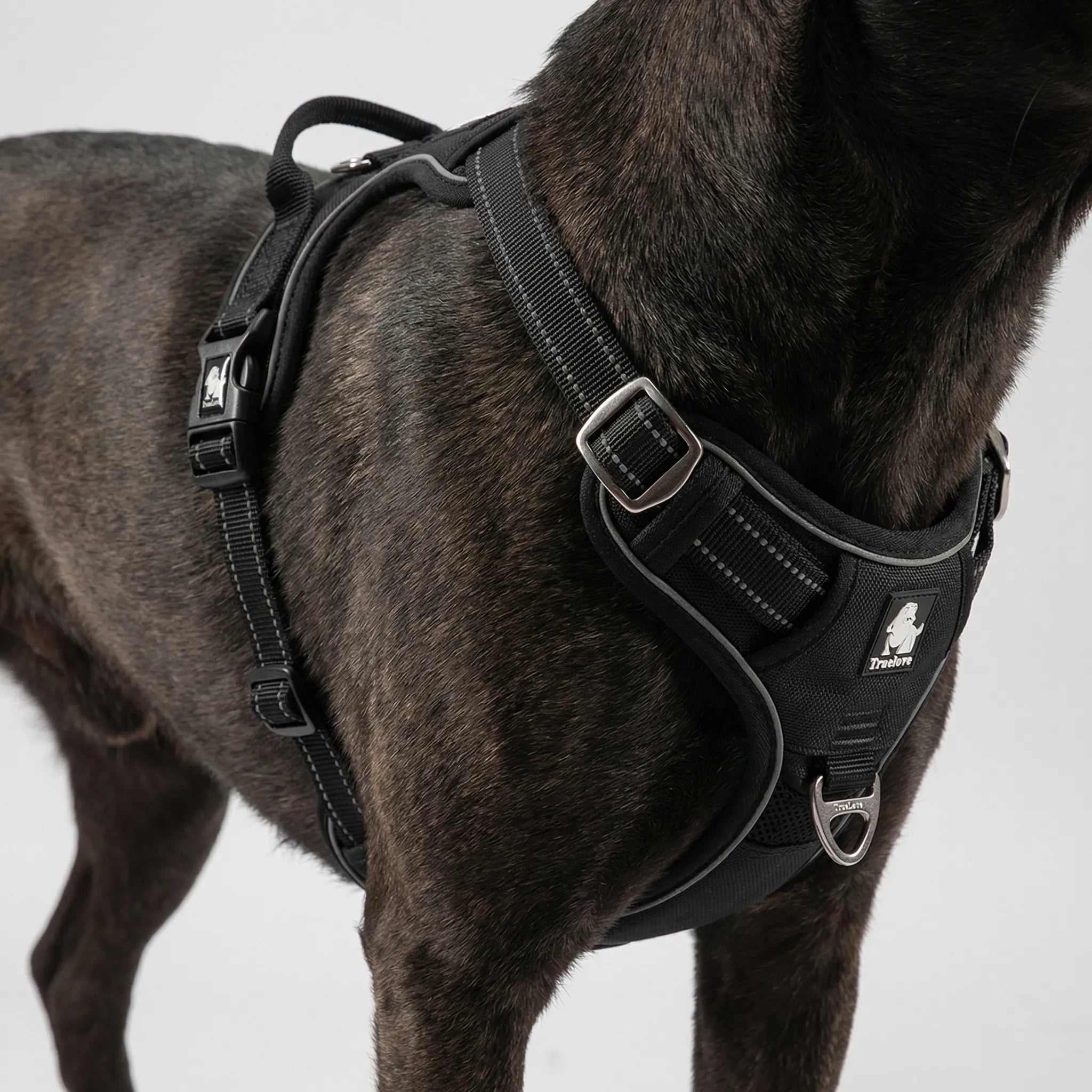 Reflektierendes Hundegeschirr mit zugfreiem Design und verstellbarer Passform
