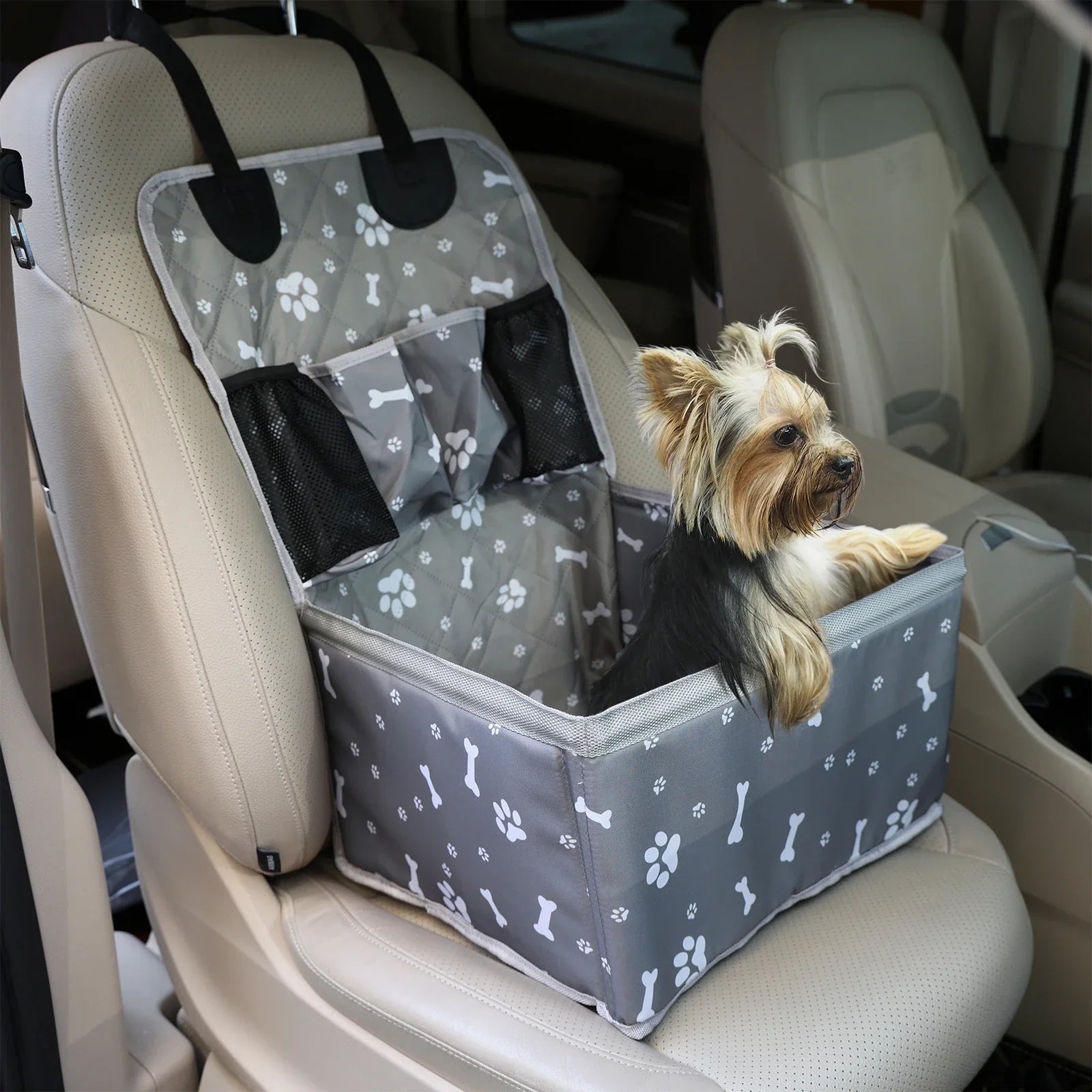 Erhöhter Hunde-Autositz faltbar mit Netzaufbewahrung für kleine Hunde