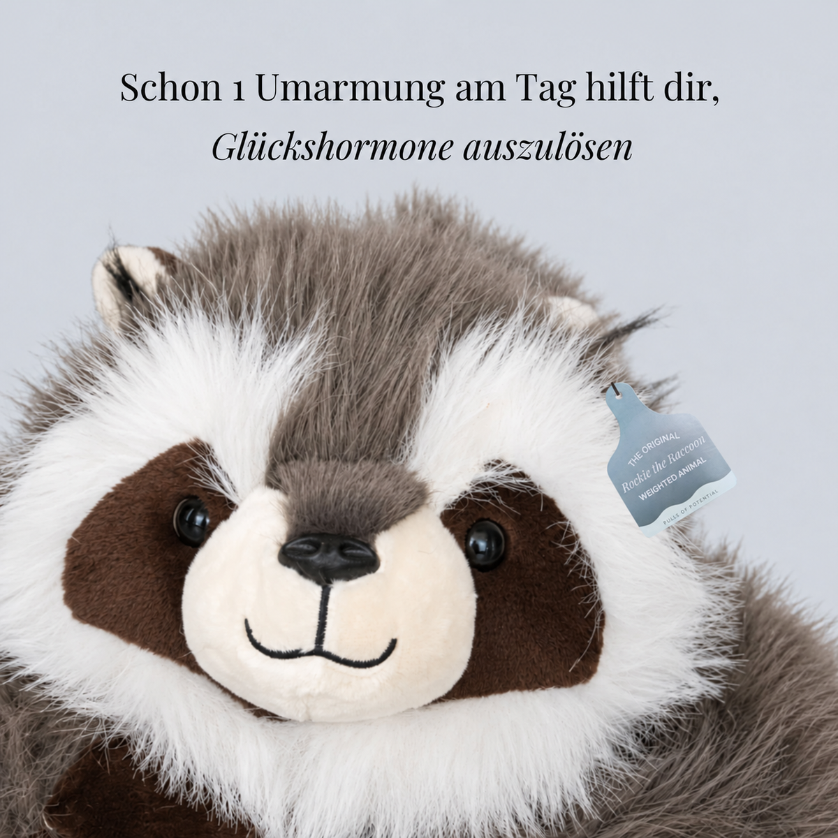 Nordspur | Rockie der Waschbär Gewichtstier