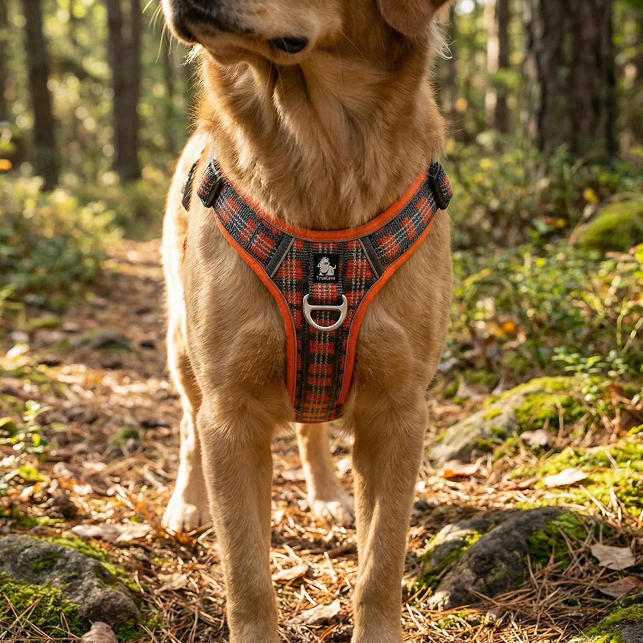 Verstellbares Brustgeschirr für Haustiere im Westenstil für Hunde und Katzen
