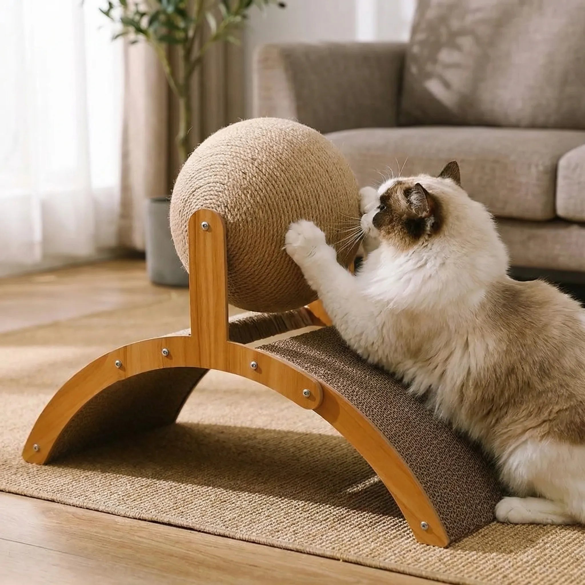 Kratzbaum für Katzen mit Sisalball und gebogenem Kratzbrett aus Holz