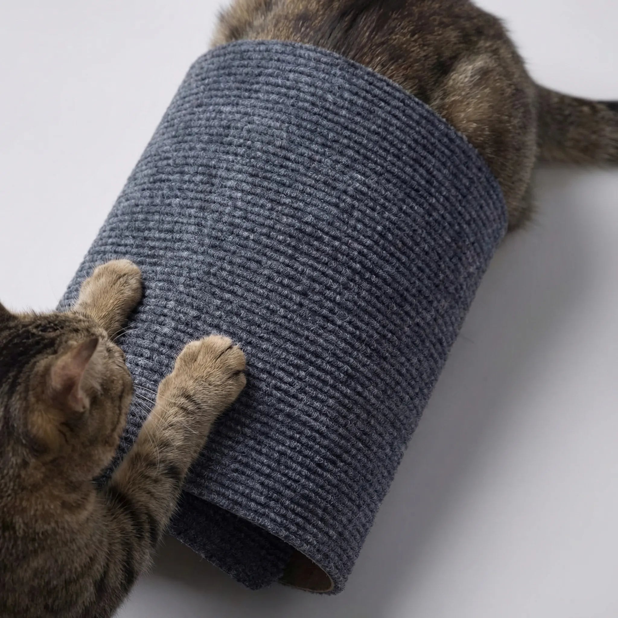 Vertikales Kratzbrett für Katzen zur Wandmontage