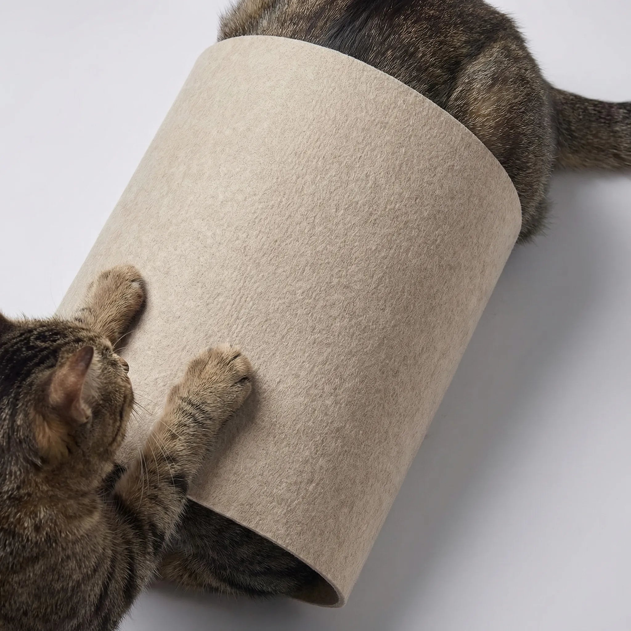 Vertikales Kratzbrett für Katzen zur Wandmontage