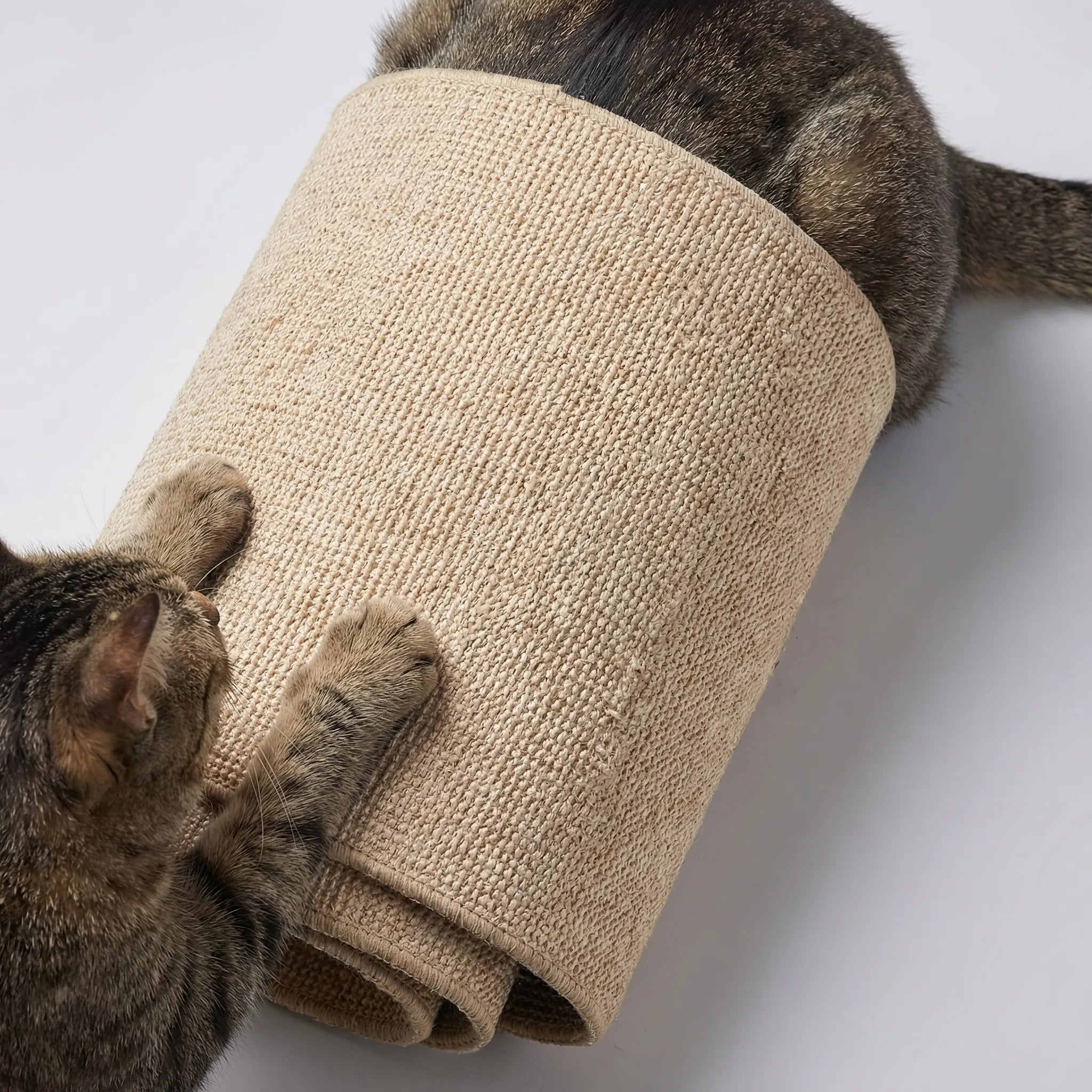 Vertikales Kratzbrett für Katzen zur Wandmontage