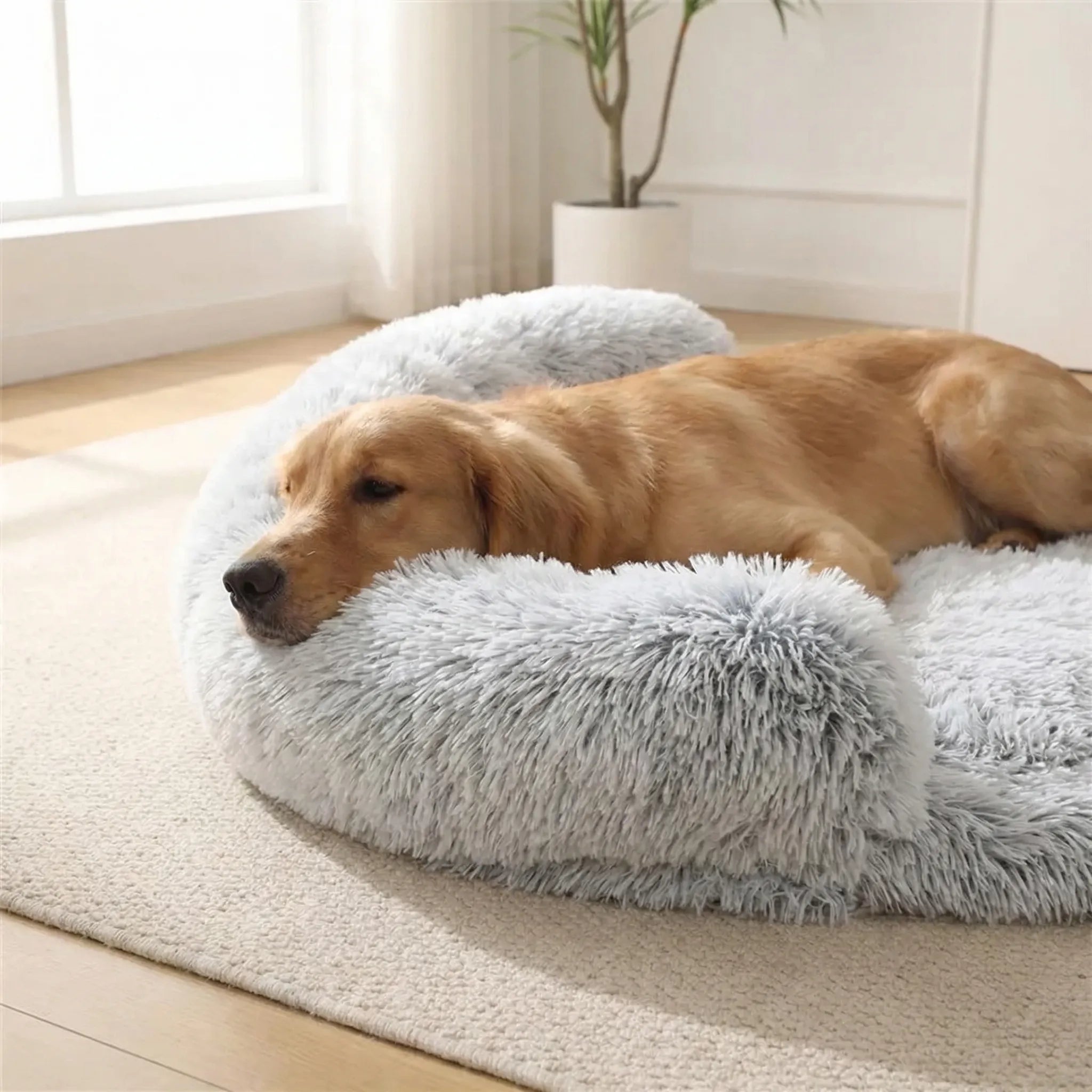 Orthopädisches Hundebett Eierkartonschaum plüschig waschbar für alle Rassen