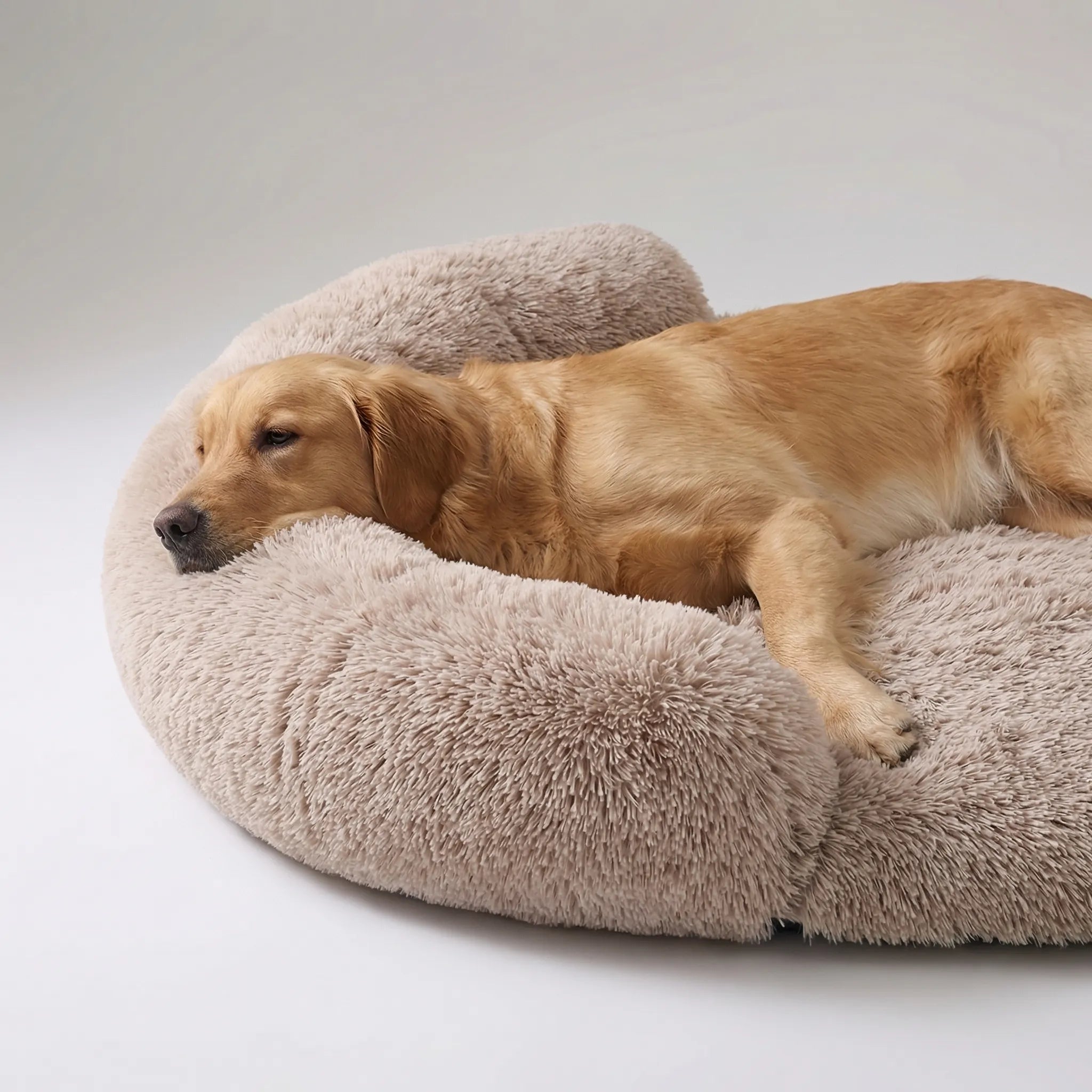 Orthopädisches Hundebett Eierkartonschaum plüschig waschbar für alle Rassen