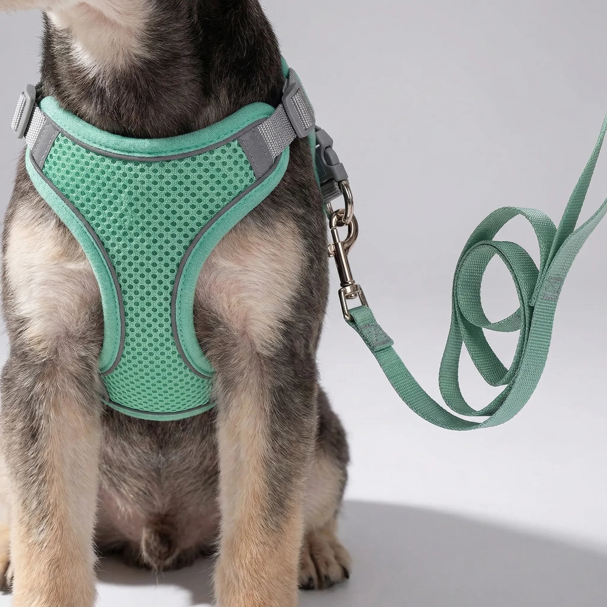 Hundegeschirr Weste mit Leine für kleine Hunde atmungsaktiv