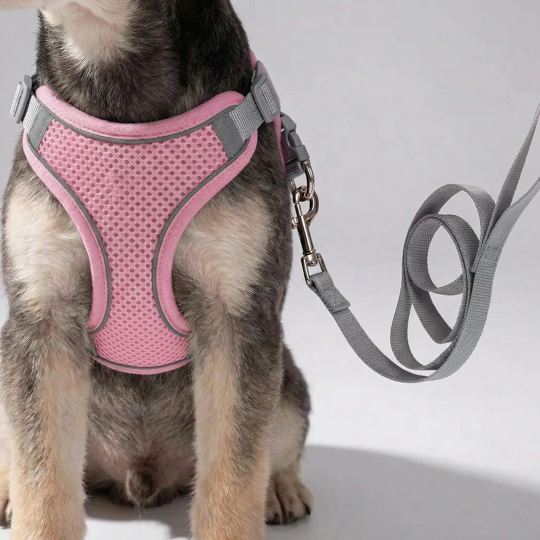 Hundegeschirr Weste mit Leine für kleine Hunde atmungsaktiv