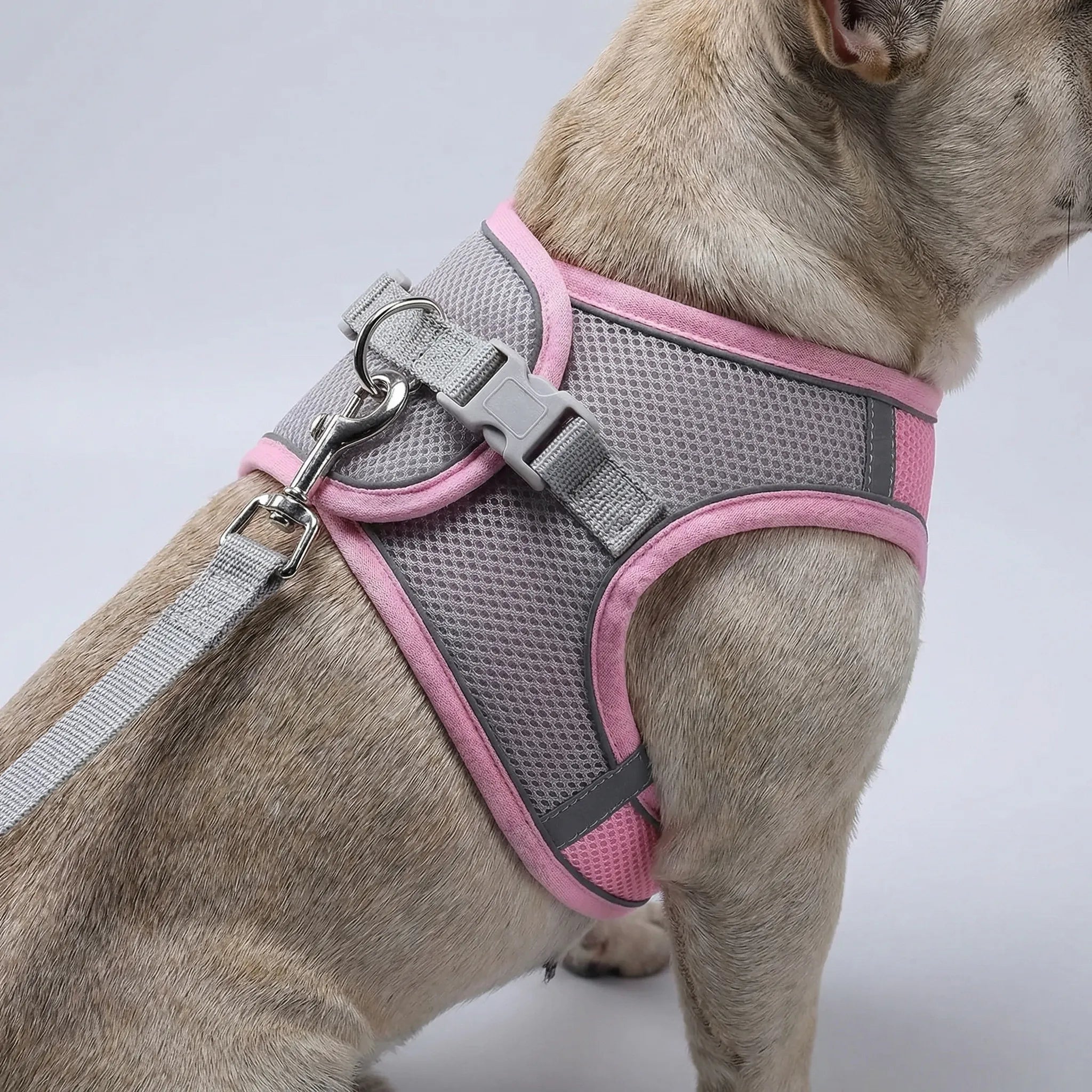 Hundegeschirr Weste mit Leine für kleine Hunde atmungsaktiv