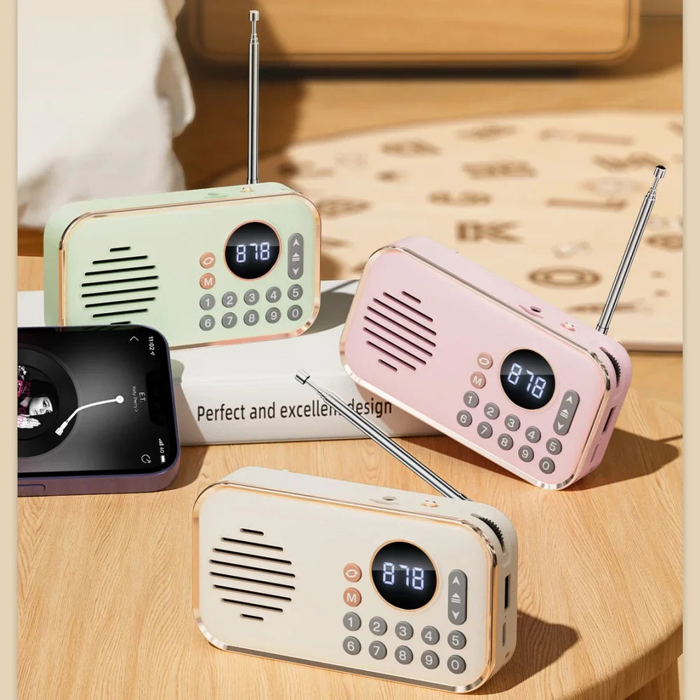 Tragbarer Bluetooth-Lautsprecher mit UKW-Radio und USB-Anschluss