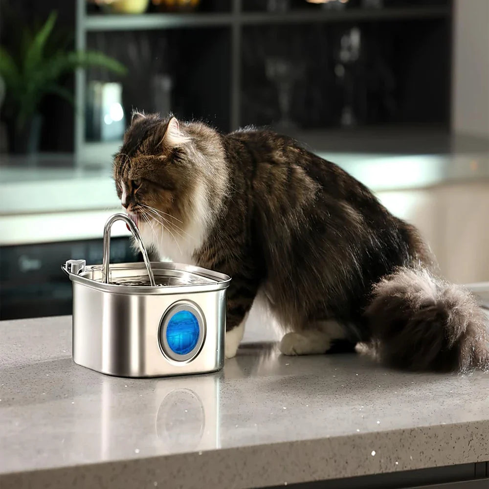 Automatischer Trinkbrunnen für Haustiere Edelstahl mit Filter