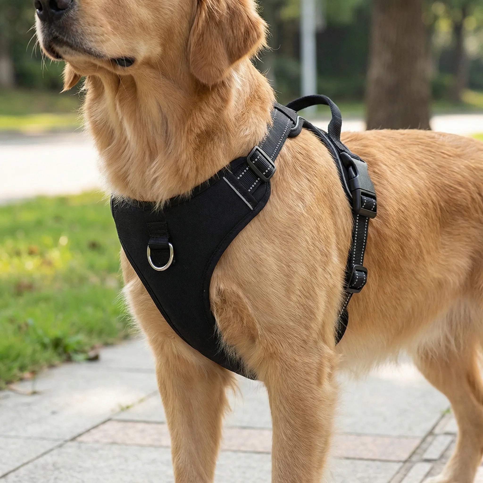Hundegeschirr Anti-Zug reflektierend verstellbar für kleine bis große Hunde