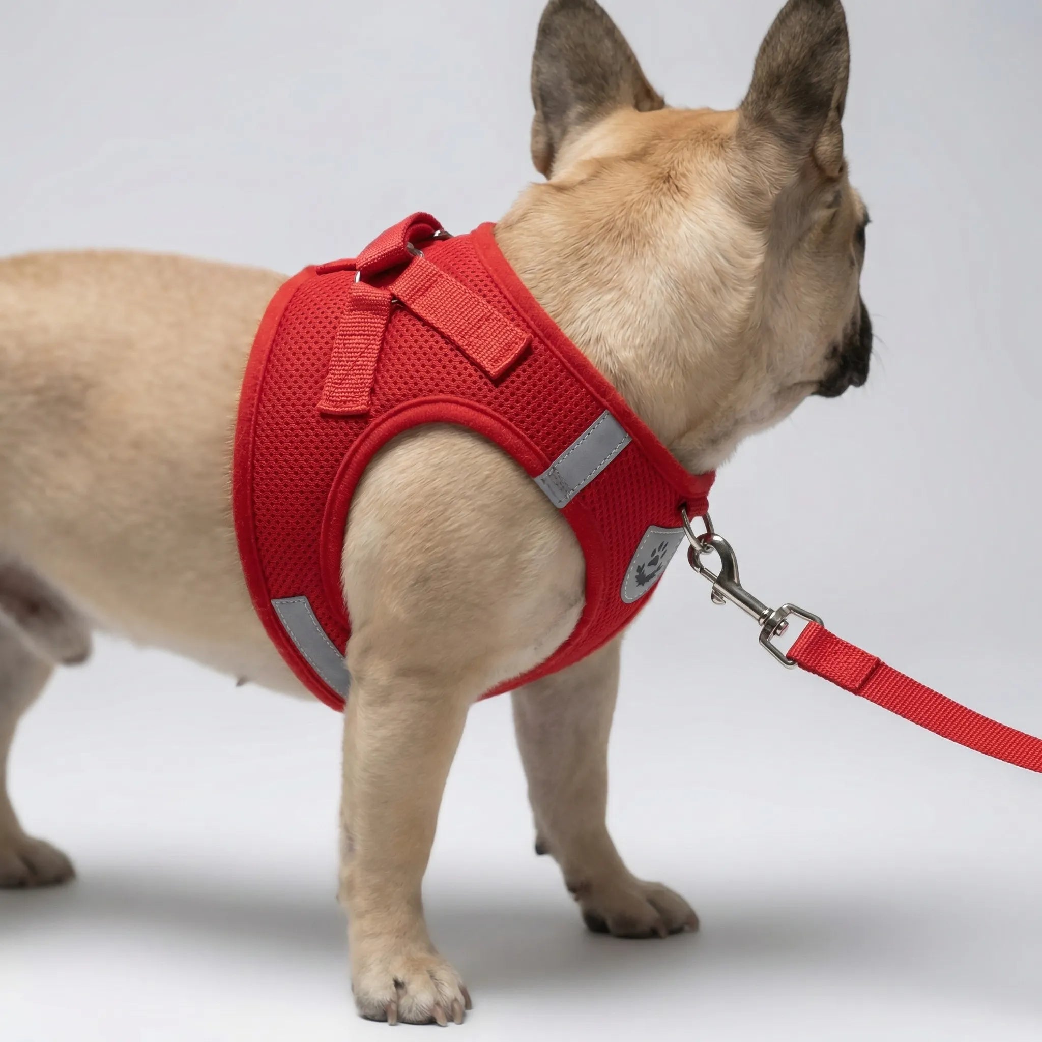Reflektierendes Westengeschirr für kleine Hunde und Katzen, atmungsaktiv
