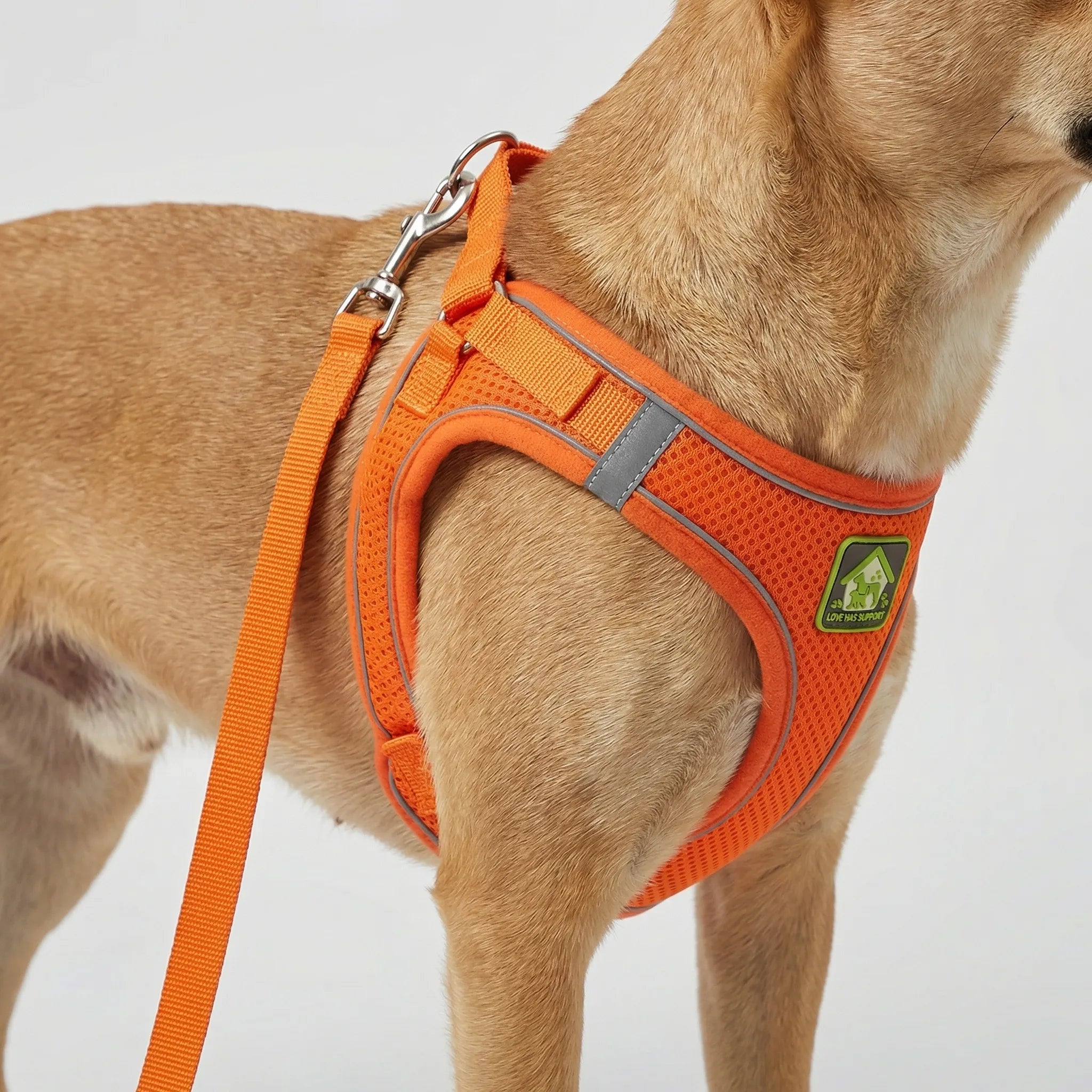 Hundegeschirr Weste reflektierend atmungsaktiv für kleine Hunde