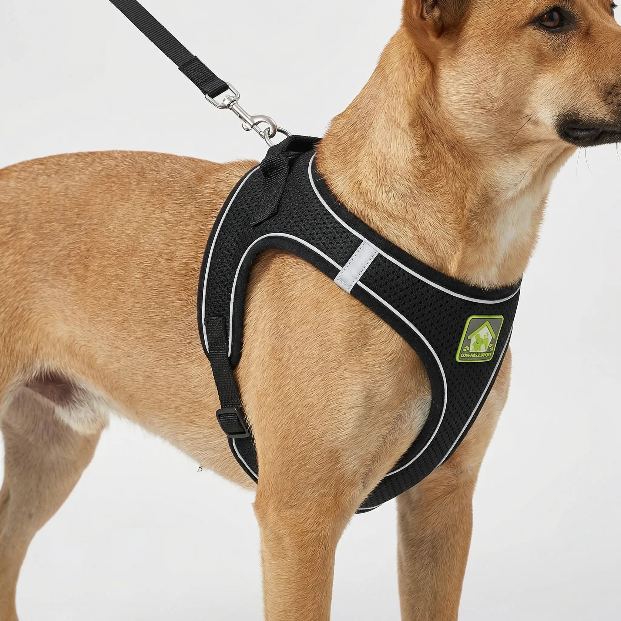 Hundegeschirr Weste reflektierend atmungsaktiv für kleine Hunde