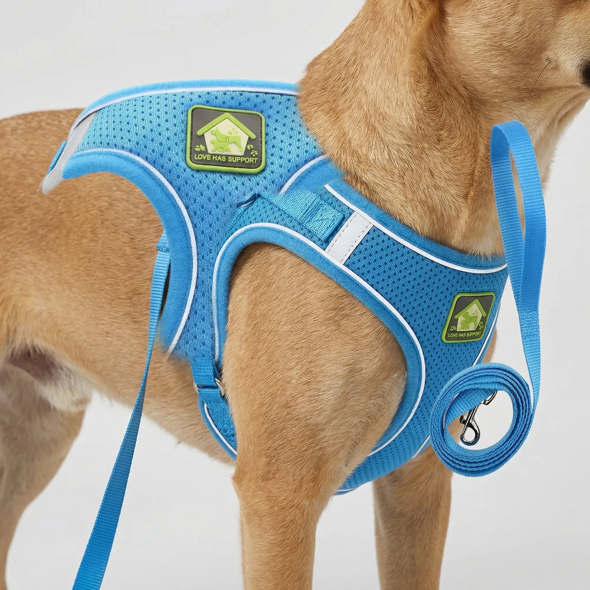 Hundegeschirr Weste reflektierend atmungsaktiv für kleine Hunde