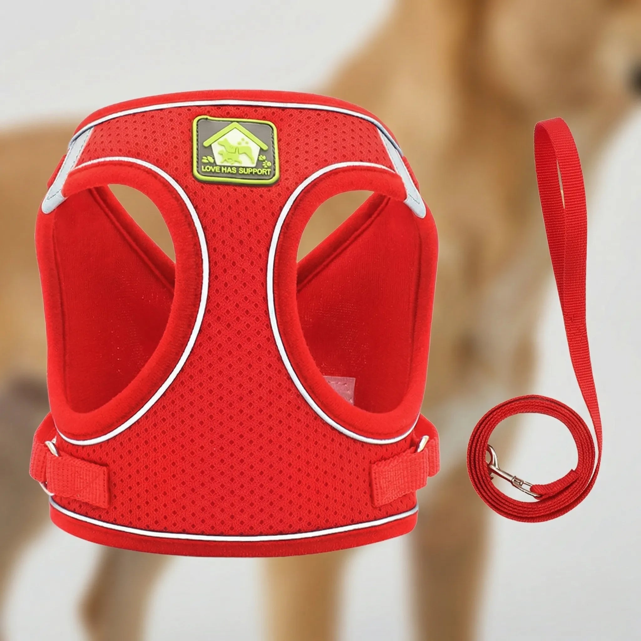 Hundegeschirr Weste reflektierend atmungsaktiv für kleine Hunde