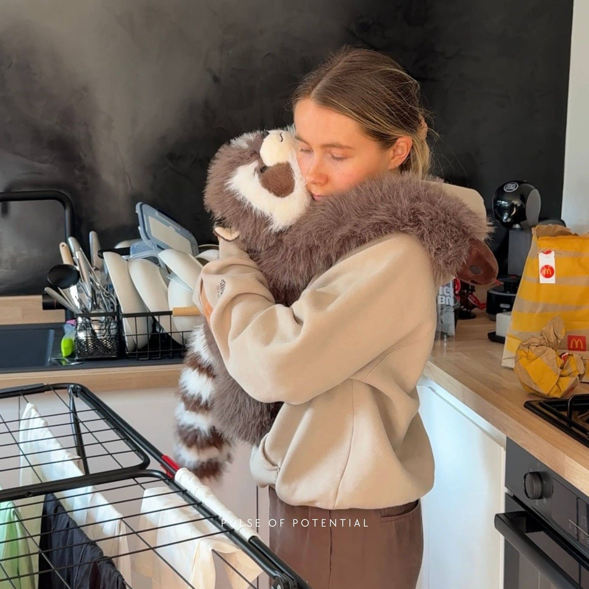Rockie der Waschbär Gewichtstier