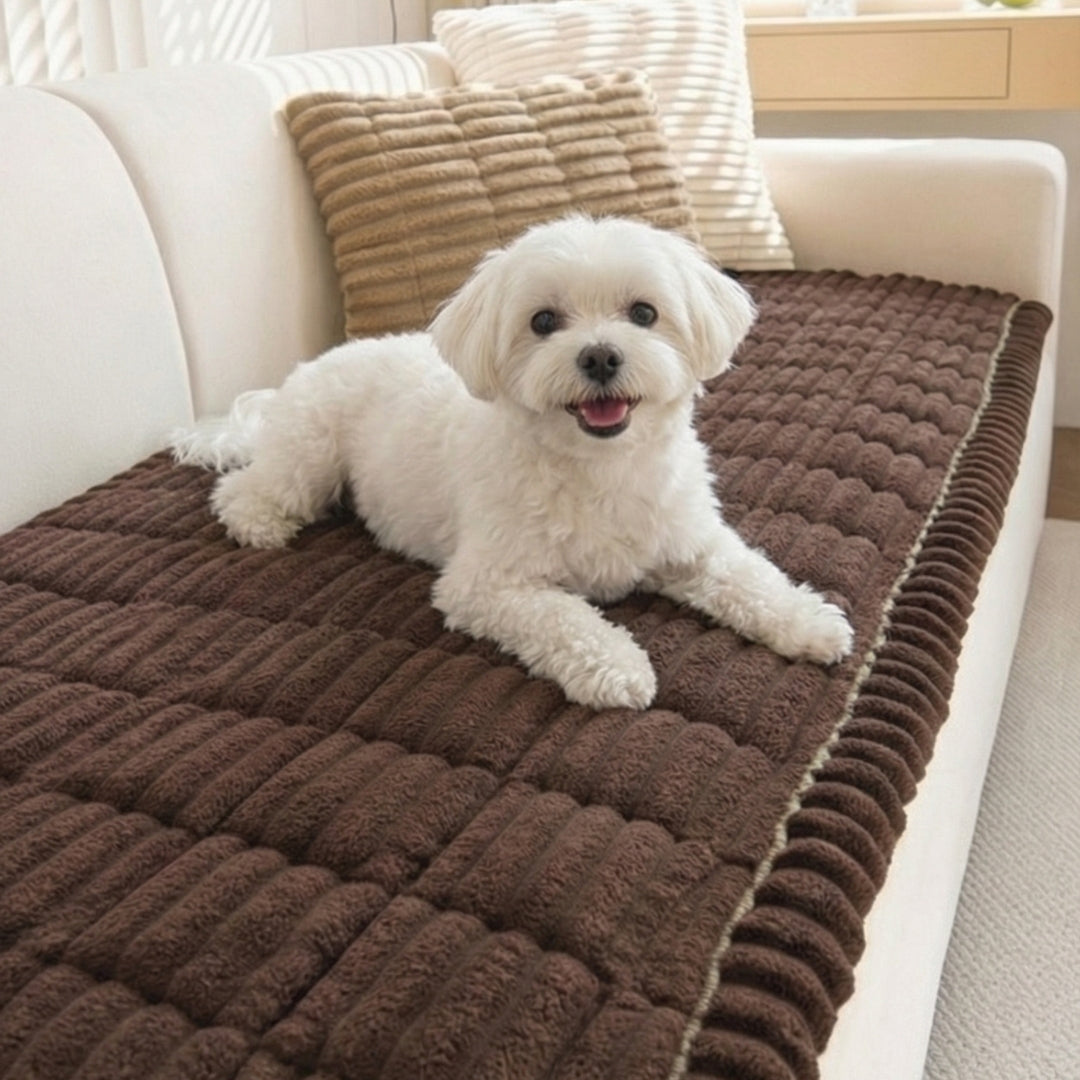 Sofabezug – Halte Dein Sofa Sauber, Weich & Geschützt