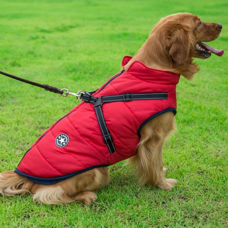 Winterjacke für Hunde mit Geschirr