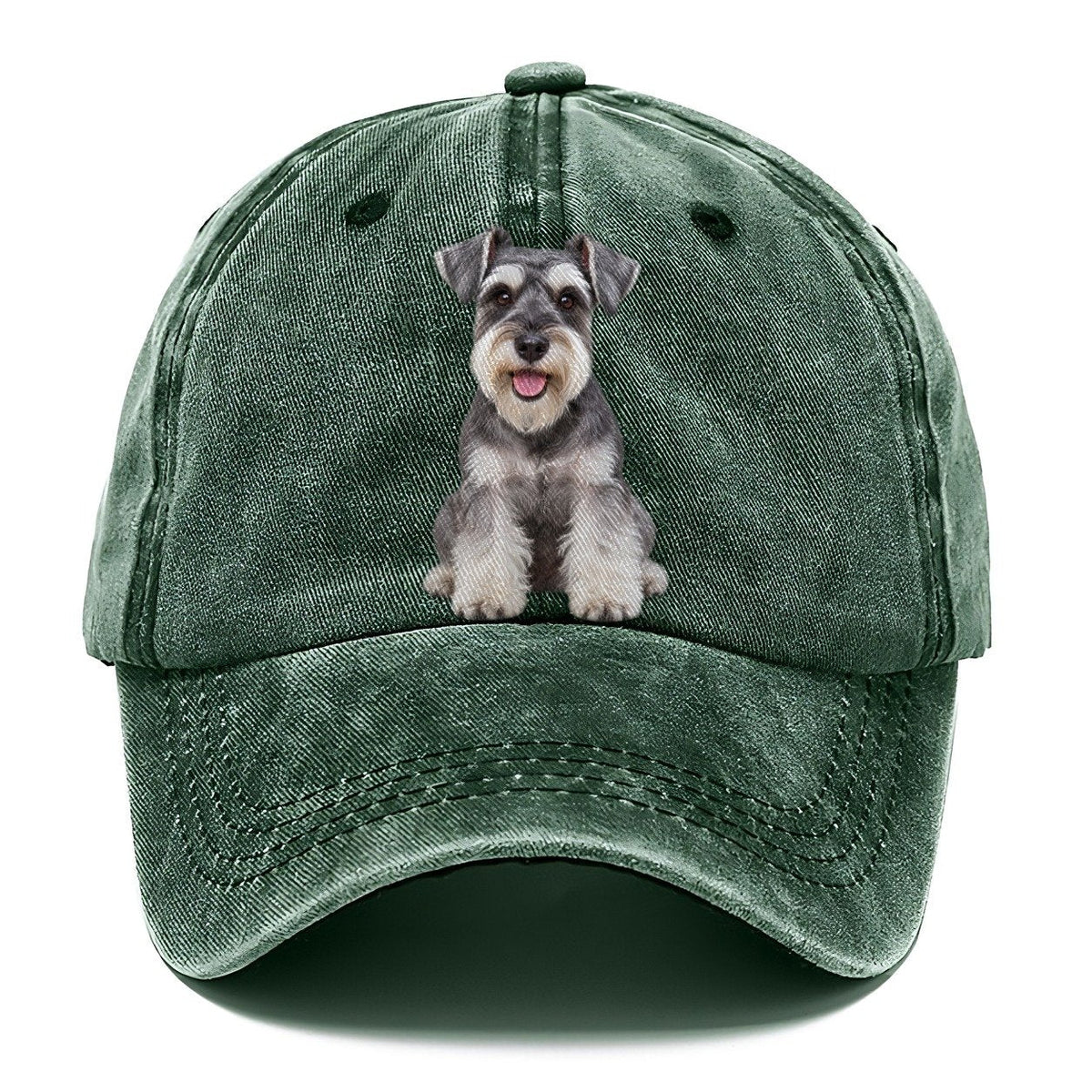 Zwergschnauzer Sitzend Top Rassen Classic Cap