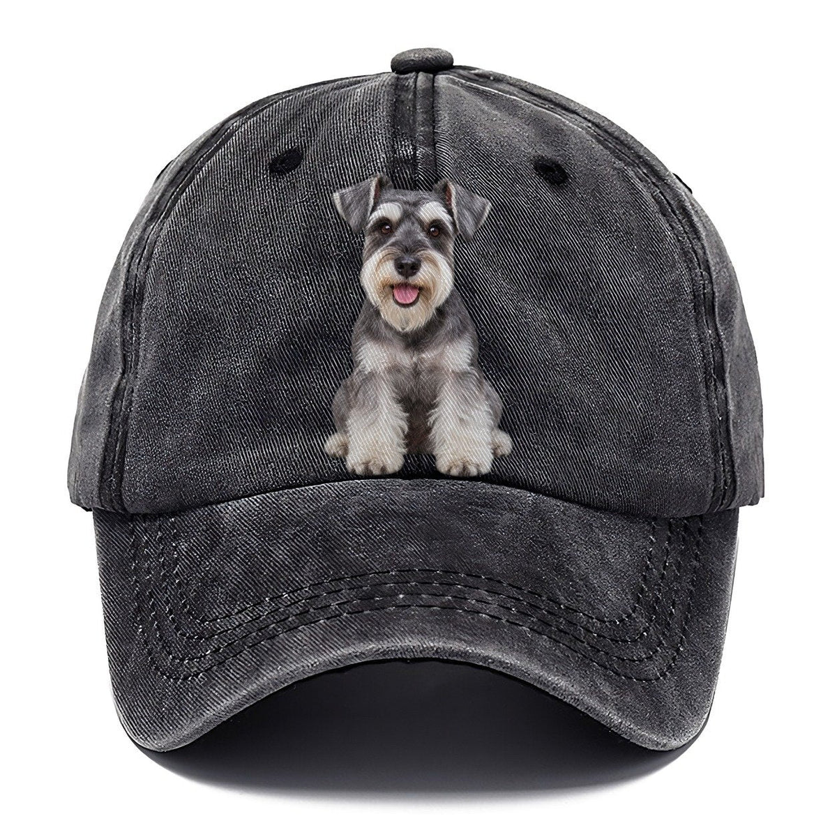 Zwergschnauzer Sitzend Top Rassen Classic Cap