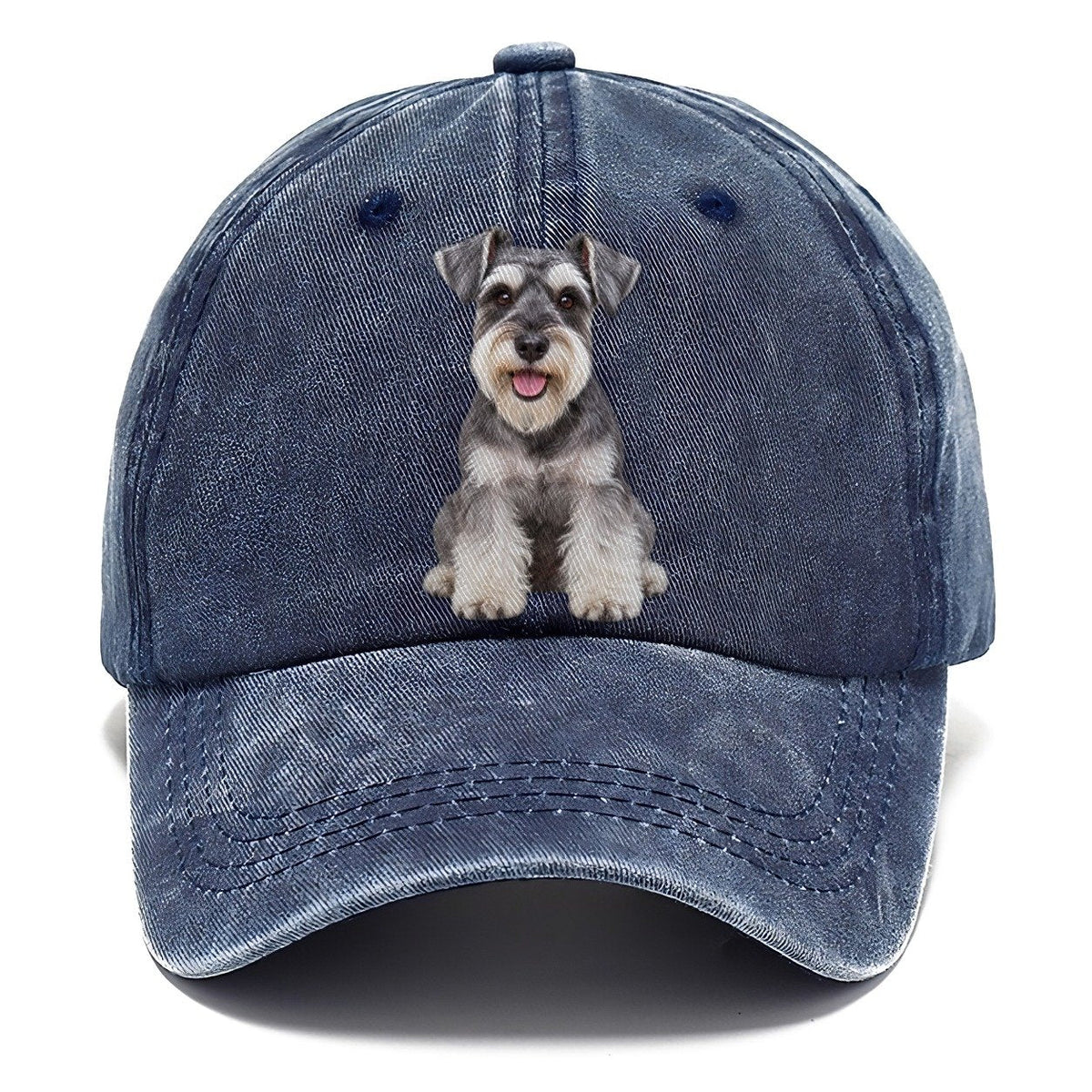 Zwergschnauzer Sitzend Top Rassen Classic Cap