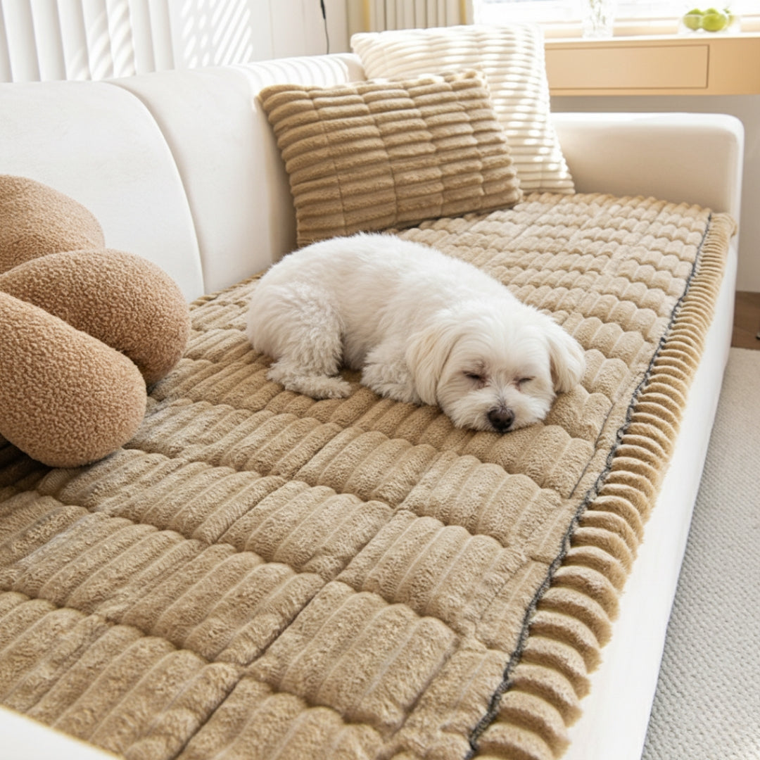 Sofabezug – Halte Dein Sofa Sauber, Weich & Geschützt