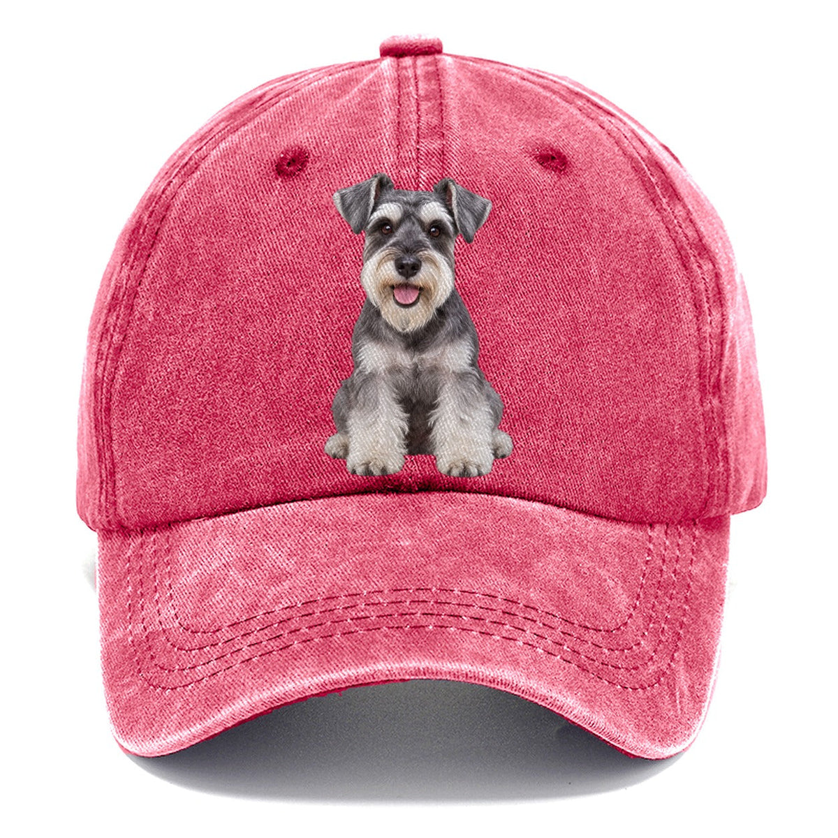 Zwergschnauzer Sitzend Top Rassen Classic Cap