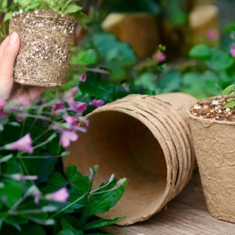 Pflanzentöpfe für die Samenkarten – 20 biologisch abbaubare Töpfe, 8 cm