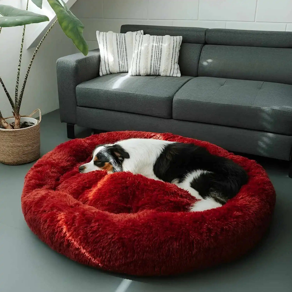Stressreduzierendes Haustierbett für Hunde