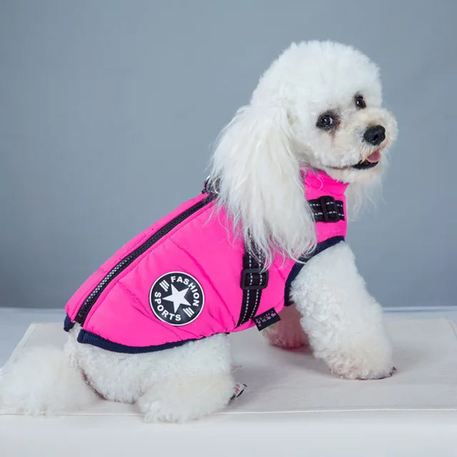 Wind- und wasserdichte Hundejacke mit integriertem Geschirr