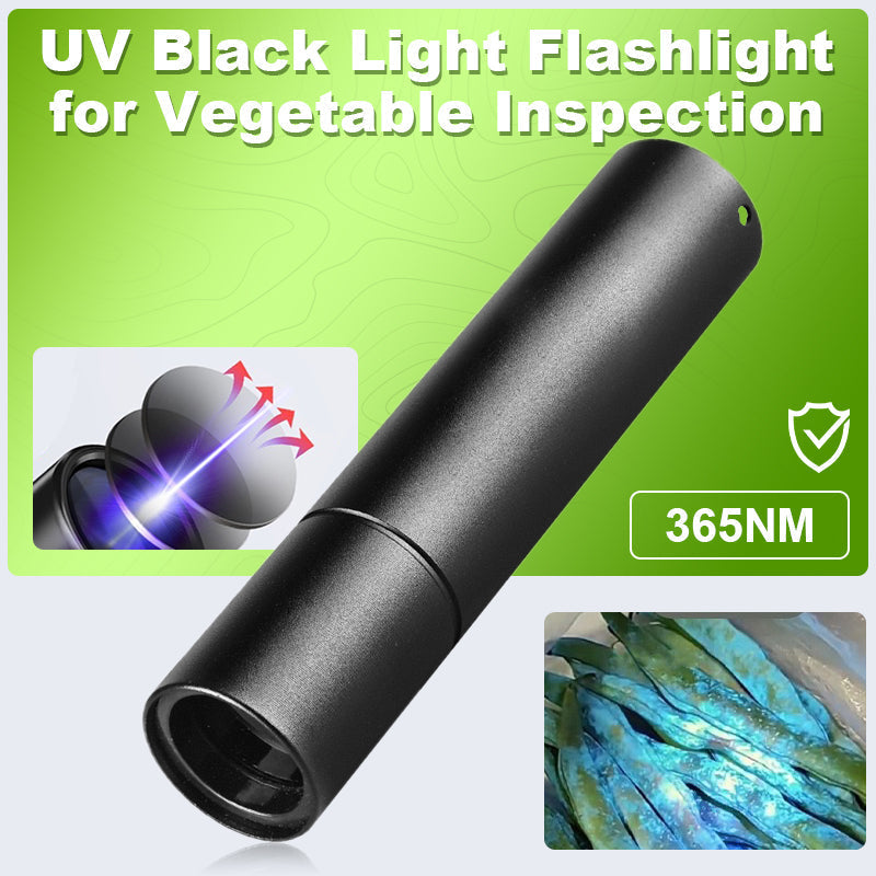 365 nm UV-Taschenlampe 10W Schwarzlicht für Gemüseinspektion & Aflatoxin-Erkennung